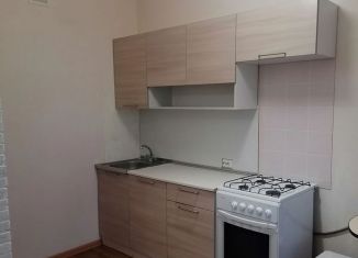 Продается квартира студия, 27.4 м2, деревня Борисовичи, Венская улица, 2