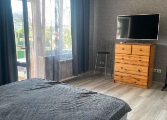 Сдается в аренду дом, 100 м2, Сочи, Белорусская улица, 9А, микрорайон Центральный