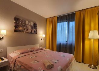 Аренда двухкомнатной квартиры, 45 м2, Сочи, Курортный проспект, 84, микрорайон Яна Фабрициуса