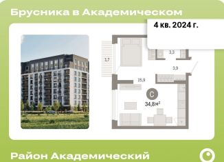 Продажа квартиры студии, 34.8 м2, Свердловская область, площадь 1905 года