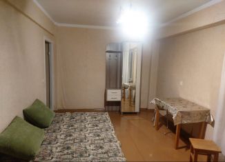Сдача в аренду 1-комнатной квартиры, 30 м2, Иркутская область, микрорайон Гагарина, 2