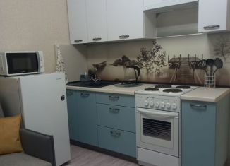 Аренда 1-ком. квартиры, 34.5 м2, Анапа, улица Адмирала Пустошкина
