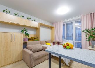 Сдается квартира студия, 30 м2, Екатеринбург, улица Крестинского, 35