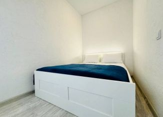 Сдается квартира студия, 34.4 м2, Екатеринбург, Онежская улица, 4