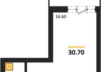 Продаю квартиру студию, 30.7 м2, Воронеж, Железнодорожный район