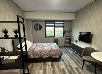 Квартира в аренду студия, 30 м2, Москва, улица Новотетёрки, 8, ВАО