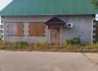 Продам торговую площадь, 59.5 м2, Марий Эл, Центральная улица, 19А