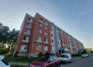 Продаю 2-комнатную квартиру, 60.5 м2, село Сынково, Центральная улица, 9