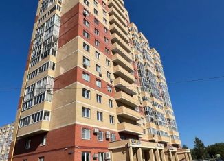 Продажа однокомнатной квартиры, 36.2 м2, Московская область, Молодёжная улица