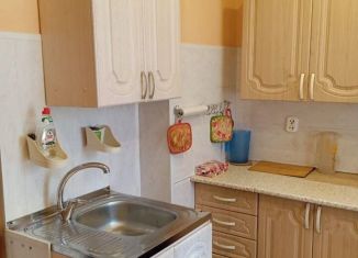 Сдается в аренду однокомнатная квартира, 30 м2, Санкт-Петербург, территория Ленсоветовский, 15