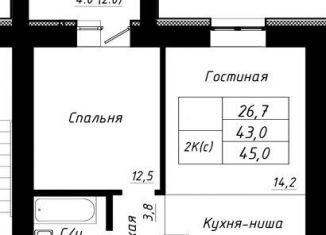 Продажа 2-комнатной квартиры, 45 м2, Барнаул, Индустриальный район, Павловский тракт, 196Ак1