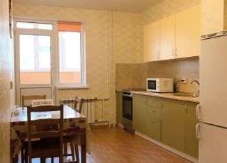 Сдаю 1-комнатную квартиру, 45 м2, Самара, Силовая улица, 6