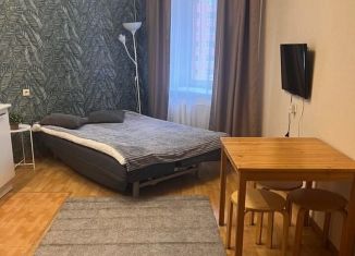 Аренда квартиры студии, 23 м2, Новосибирск, улица Орджоникидзе, 30, Центральный район