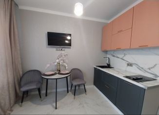 Продам квартиру студию, 27 м2, Краснодарский край, улица Ивана Голубца, 147