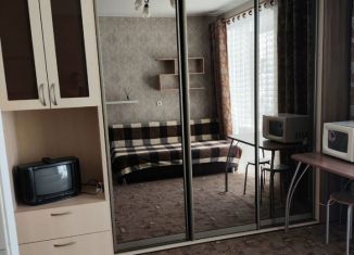 Квартира в аренду студия, 25 м2, Татарстан, улица Габдуллы Тукая, 10