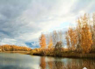 Продается земельный участок, 16 сот., село Большие Кургузи, Клубная улица