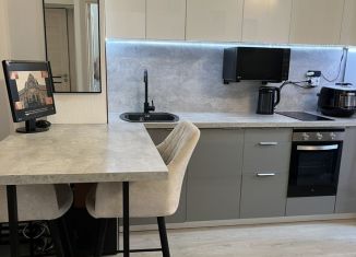 Сдаю однокомнатную квартиру, 33 м2, Мурино, Ручьёвский проспект, ЖК Айди Мурино