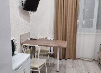 Сдаю в аренду квартиру студию, 17 м2, Татарстан, улица Сибирский Тракт, 22