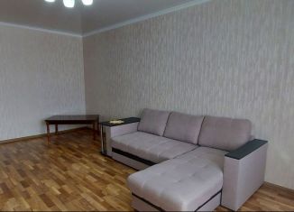 Сдается 1-комнатная квартира, 40 м2, Татарстан, проспект Химиков, 17