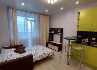 Сдам в аренду квартиру студию, 20.4 м2, Мурино, улица Шувалова, 17