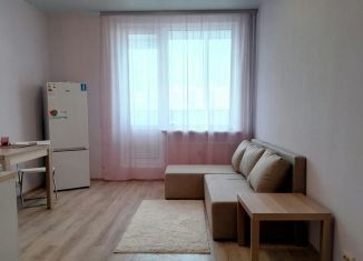 Сдам квартиру студию, 25 м2, Кудрово, Пражская улица, 15