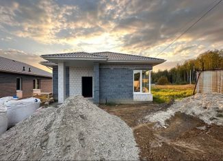 Продажа коттеджа, 100 м2, село Тюнево, улица Промзона