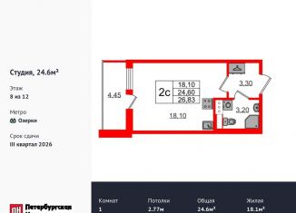 Продам квартиру студию, 24.6 м2, Санкт-Петербург, метро Озерки