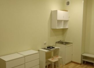 Сдается 1-ком. квартира, 31 м2, Новосибирск, Рельефная улица, 106/3