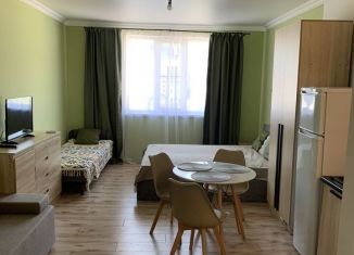 Сдается квартира студия, 24 м2, Краснодарский край, Восточная улица, 9А