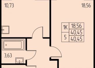 Продается однокомнатная квартира, 40.5 м2, Московская область, микрорайон Дружный, 13