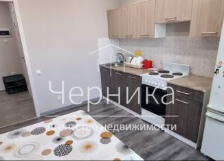 Аренда однокомнатной квартиры, 38 м2, Казань, улица Фикрята Табеева, 1, ЖК Весна