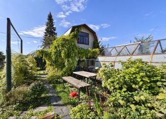 Дача на продажу, 50 м2, СНТ Дружба, Яблочная улица, 141