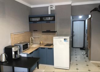 Продам квартиру студию, 26 м2, Анапа, Парковая улица, 61к3