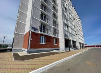 Продается 1-ком. квартира, 38 м2, село Чигири, улица Василенко, 7