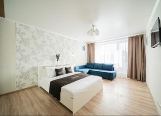 Сдается 1-ком. квартира, 45 м2, Санкт-Петербург, Железноводская улица, 35