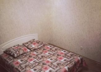 Сдается 1-комнатная квартира, 31 м2, Ставропольский край, улица Крайнего, 78
