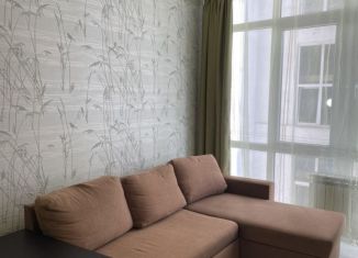 Сдается в аренду однокомнатная квартира, 43 м2, Сочи, улица Яна Фабрициуса, 2/28А, микрорайон Яна Фабрициуса