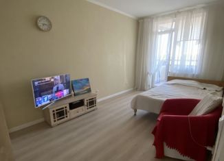 2-комнатная квартира на продажу, 47.1 м2, Санкт-Петербург, проспект Маршала Блюхера, 6к2, ЖК Кирилл и Дарья