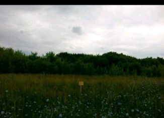 Продаю земельный участок, 10 сот., деревня Каинки, Центральная улица