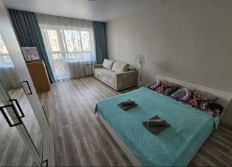 Сдаю 1-комнатную квартиру, 41.5 м2, Новосибирск, Красный проспект, 325