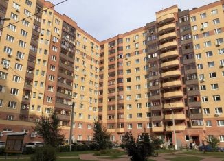 2-комнатная квартира на продажу, 48 м2, деревня Щемилово, улица Орлова