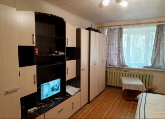 1-комнатная квартира на продажу, 30.4 м2, Заволжье, проспект Дзержинского, 44