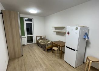 Сдаю квартиру студию, 24.4 м2, Санкт-Петербург, проспект Ветеранов, 175к4