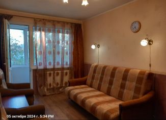 Сдается 2-ком. квартира, 44 м2, Санкт-Петербург, улица Кустодиева, 20к2, Выборгский район