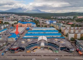 Сдаю в аренду торговую площадь, 6 м2, Петропавловск-Камчатский, проспект 50 лет Октября, 16к5