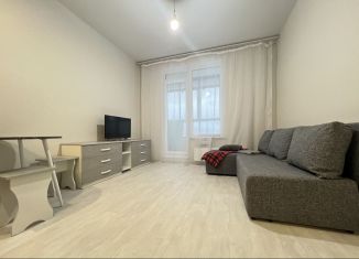 Сдается квартира студия, 22 м2, Санкт-Петербург, Русановская улица, 24