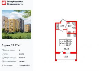 Продается квартира студия, 25.1 м2, Санкт-Петербург, муниципальный округ Коломяги