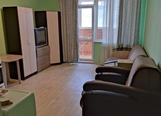 Сдаю квартиру студию, 28 м2, Новосибирск, Танковая улица, 32