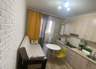 Сдается 1-ком. квартира, 40 м2, Минеральные Воды, улица Новосёлов, 5А