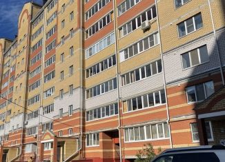 Продам квартиру студию, 28 м2, Йошкар-Ола, улица Петрова, 27, микрорайон Молодёжный